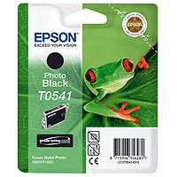 Epson Tinte T0541 UltraChrome R1800/800 photo black - Frosch